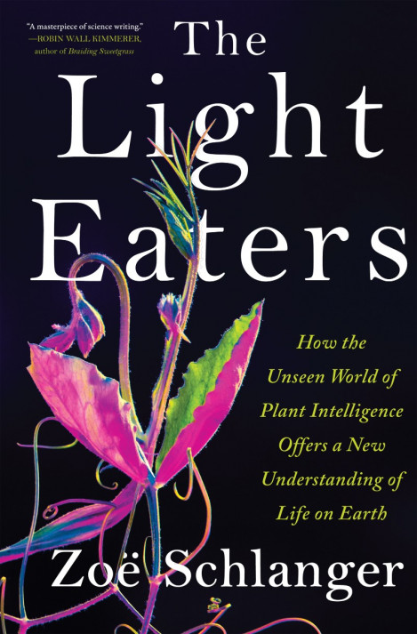 The Light Eaters: How the Unseen World of Plant Intelligence Offers a New Understa...