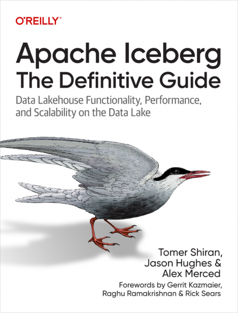 Apache Iceberg: The Definitive Guide - Tomer Shiran, Jason Hughes, Alex Merced
