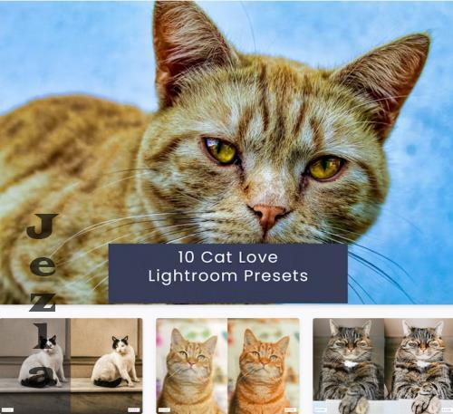 10 Cat Love Lightroom Presets - UD8F55B