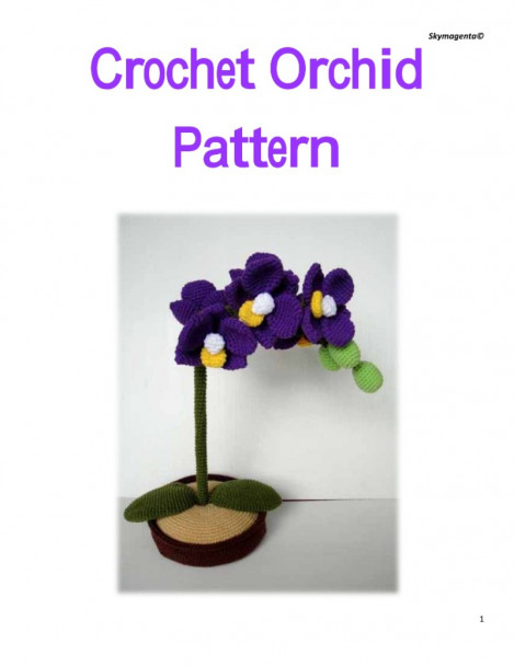 Orchid Care for Beginners An Introduction to the Orchid Flower, Growing Orchids...