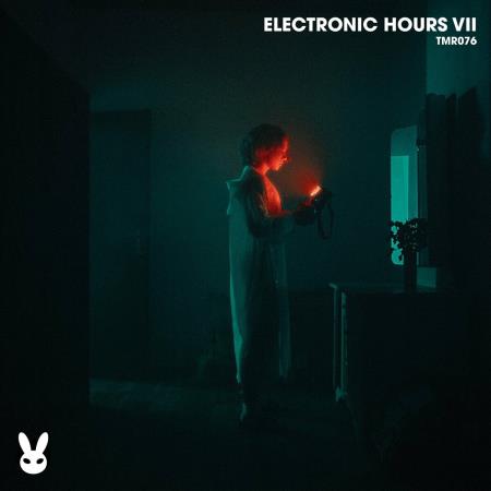 VA | Electronic Hours VII (2024) MP3