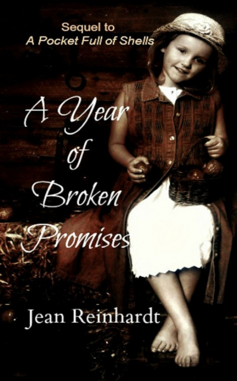A Year of Broken Promises - An Irish Family Saga) - Jean Reinhardt
