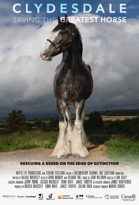 Clydesdale Saving The Greatest Horse (2020) EXTENDED 1080p WEBRip x264-CBFM