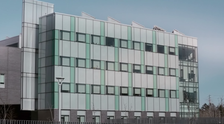 Частные сыщики / Private Eyes / Сезон: 5 / Серии: 1-8 из 8 (Келли Макин ...