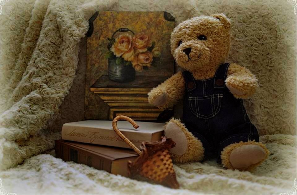 My teddy bear - Page 51 09b8b601ba3fc03a5c7bf6c5d8eb760f