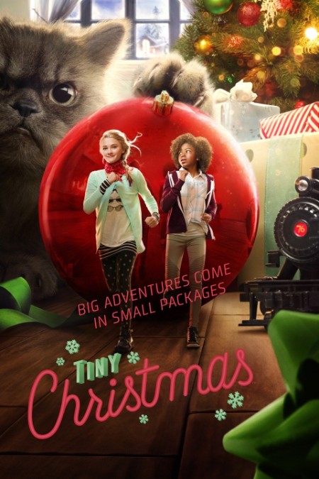 Tiny Christmas (2017) [WEB] 1080p WEBRip x264 AAC-YTS