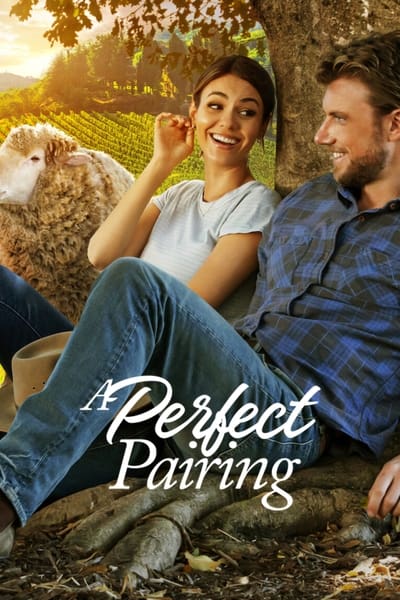 A Perfect Pairing 2022 German 1080p DV HDR Web H265 - DEO