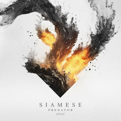 Siamese - Predator (Single) (2024)