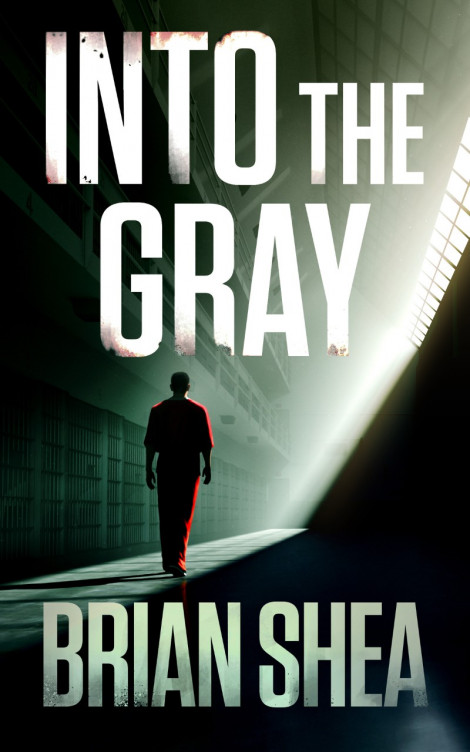 Into the GRay - Brian Shea 55f2bd861d66e7e2c696553490f37479