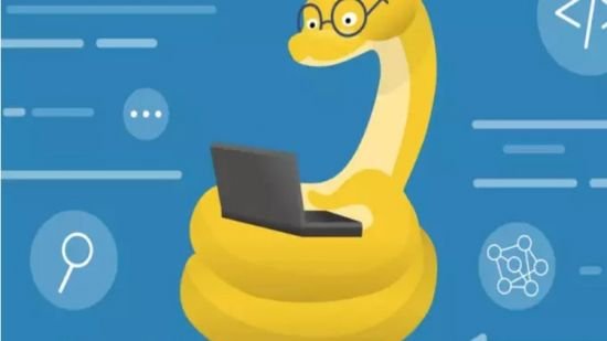 90 Days of Python : From Zero to becoming a Pro Developer 2024