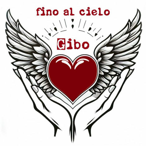 Gibo Fino Al Cielo (2024)