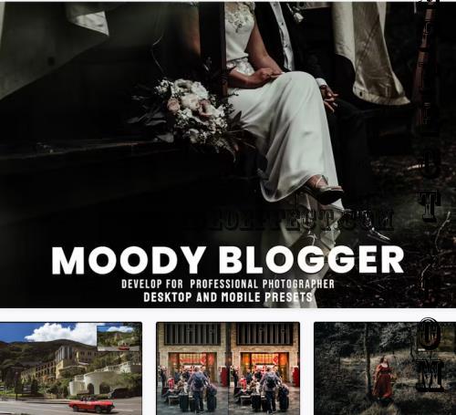 Moody Blogger - Desktop and Mobile Presets - EAE9TMV