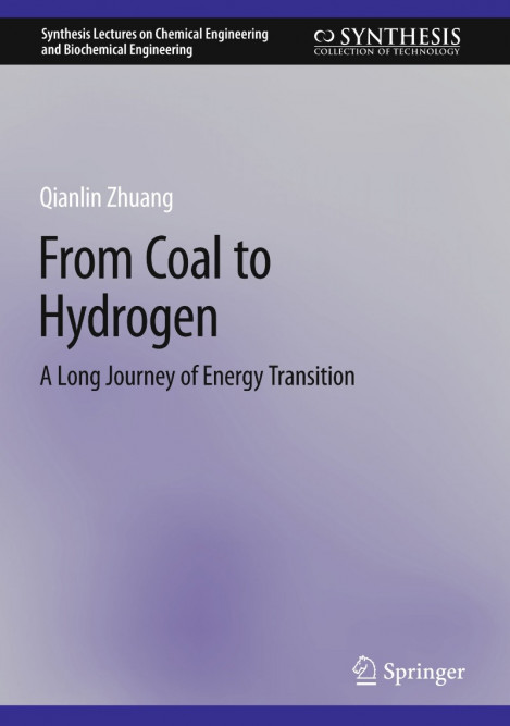 From Coal to Hydrogen: A Long Journey of Energy Transition - Qianlin Zhuang