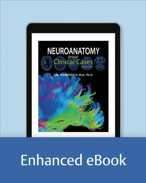 Neuroanatomy through Clinical Cases - Hal Blumenfeld