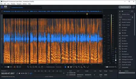 iZotope RX 11 Audio Editor Advanced 11.0 Portable (x64)