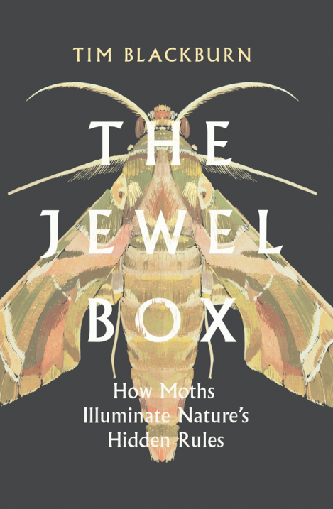 The Jewel Box: How Moths Illuminate Nature's Hidden Rules - Tim Blackburn