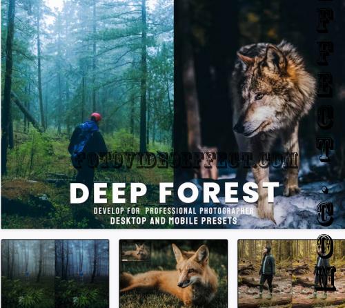 Deep Forest - Desktop and Mobile Presets - H9VP8NS