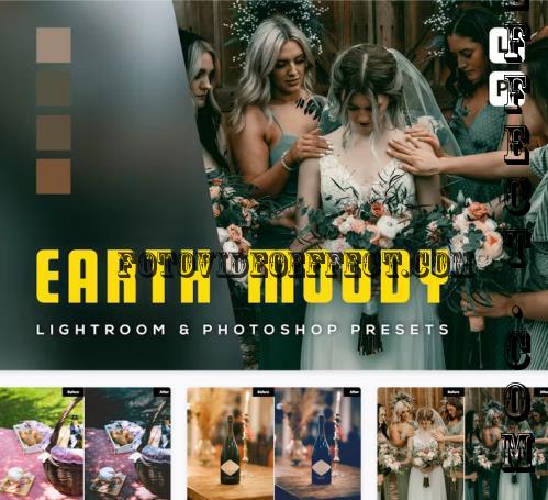 6 Earth moody Lightroom and Photoshop Presets - E6DALEM