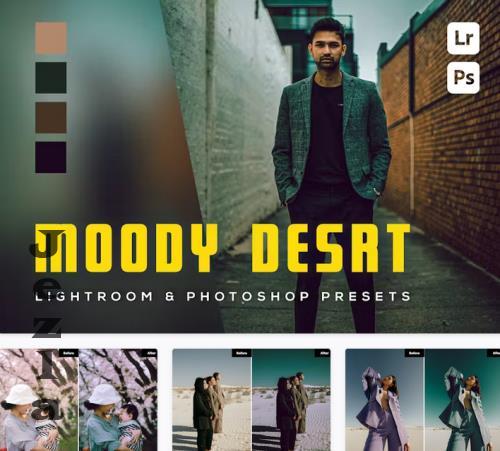 6 Moody Desrt Lightroom and Photoshop Presets - MYKX2D5