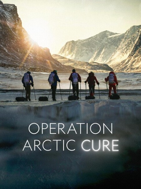 Operation Arctic Cure (2024) 720p WEB h264-EDITH