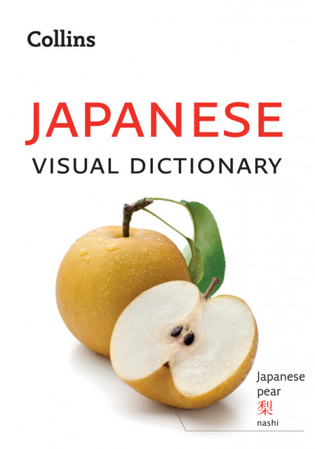 Japanese Visual Dictionary: A photo guide to everyday words and phrases in Japanes...
