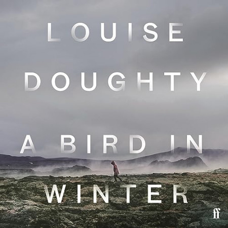 A Bird in Winter: 'Nail-bitingly tense and compelling' Paula Hawkins - [AUDIOBOOK]