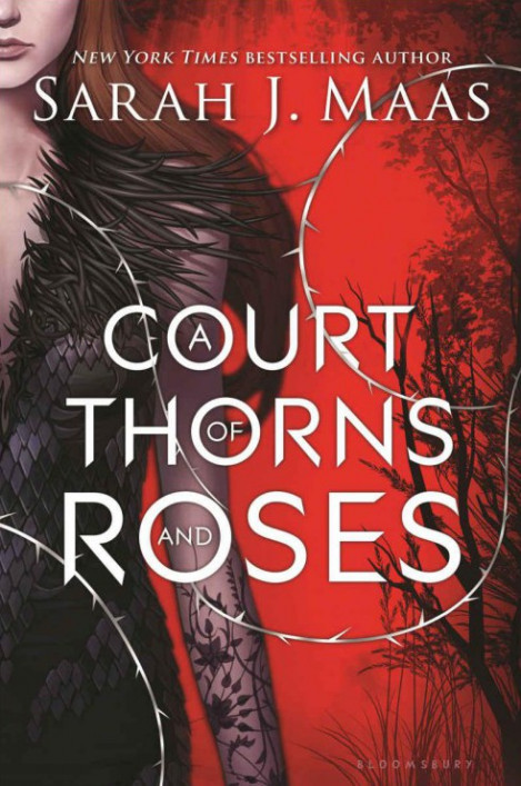 A Court of Thorns and Roses eBook Bundle: A 5 Book Bundle - Sarah J. Maas