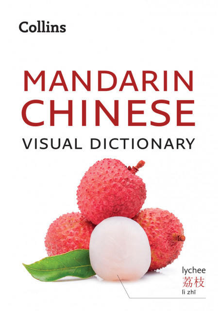Chinese Visual Dictionary: A photo guide to everyday words and phrases in  Chines...