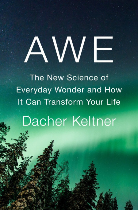 Awe: The New Science of Everyday Wonder and How It Can Transform Your Life - Dache... D89c9f3d40cfe033a18e49aa06778bac