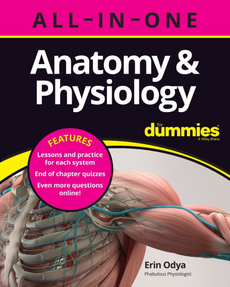 Anatomy & Physiology All-in-One For Dummies - Erin Odya