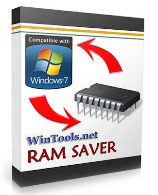RAM Saver Professional 24.5 Multilingual