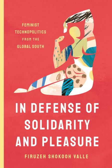 In Defense of Solidarity and Pleasure: Feminist Technopolitics from the Global Sou... Fd6a21ce7f62491aa90898367a182cca