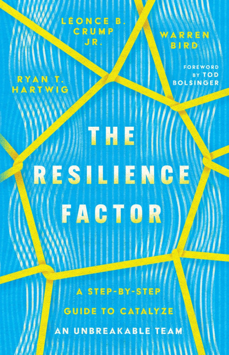 The Resilience Factor: A Step-by-Step Guide to Catalyze an Unbreakable Team - R...