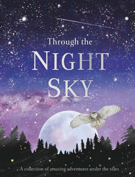 Through the Night Sky: A collection of amazing adventures under the stars - DK Cca185f18944a1eab71fabc261a99bed