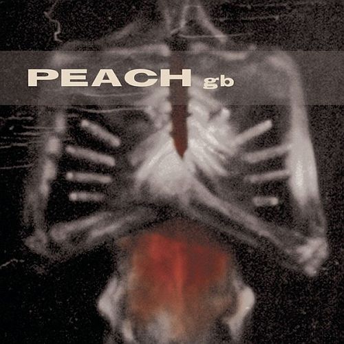 Peach gb - Giving Birth To A Stone (1994) (LOSSLESS) 