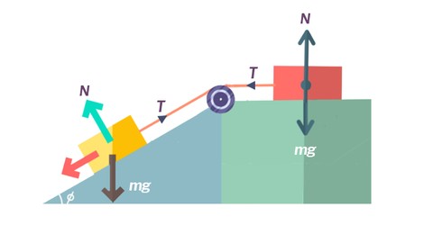 Newton's Laws of Motion - AP Physics | GCSE | JEE | NEET