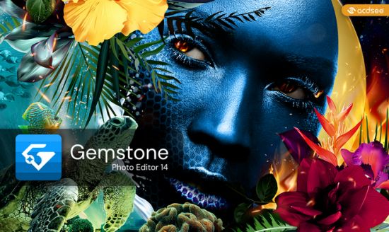 ACDSee Gemstone Photo Editor 14.0.0.1130