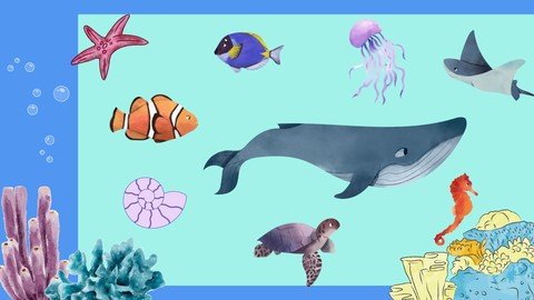 Sealife Watercolor Painting For Beginner’S