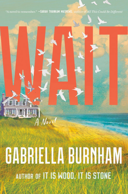 Wait: A Novel - Gabriella Burnham 819f941839671549d680f1bdf92c65ba