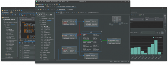 DbVisualizer Pro 24.1.5 (x64)