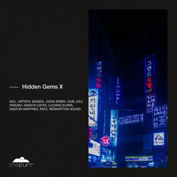VA - Hidden Gems X (2024) MP3