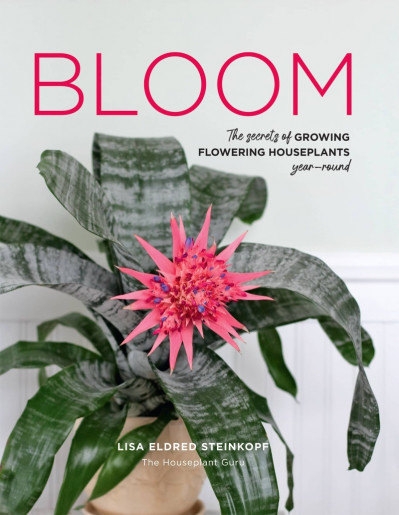 Bloom: The secrets of growing flowering houseplants year-round - Lisa Eldred Stein... 45ddb1704e39c168311a43e99cccd3f4