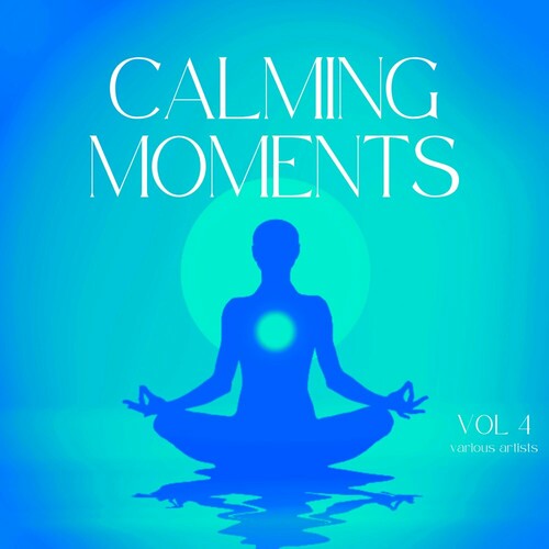 Calming Moments Vol.4 (2024) FLAC