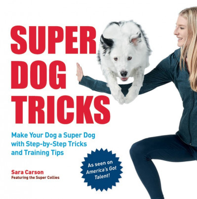 Super Dog Tricks: Make Your Dog a Super Dog with Step by Step Tricks and Training ... 94db33711d7b057c5e26baf3ba1c61be