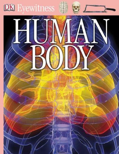 Eyewitness Human Body: Explore How the Human Body Works-from the Smallest Cells to... 3471fda312e07b2d5ad61c58d37ed5e4