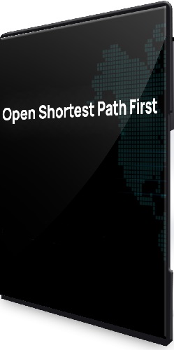 [n4e.ru] Open Shortest Path First (2024) Видеокурс