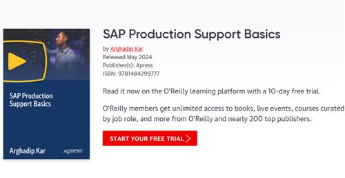 SAP Production Support Basics