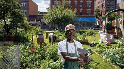 Urban Gardening Mastery – Grow Your Own Food in the City
