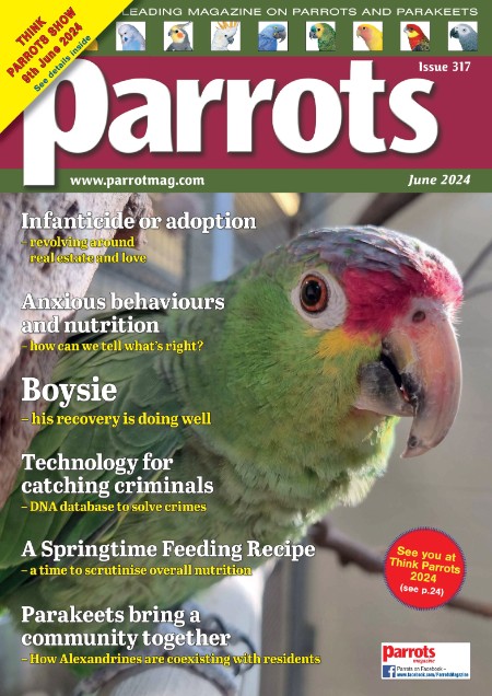 Parrots - June 2024