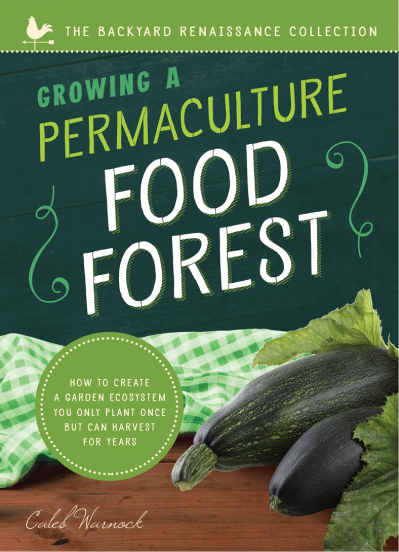 Growing a Permaculture Food Forest: How to Create a Garden Ecosystem You Only Plan... E6c61fd4d69f3a67f19984e8c551557d